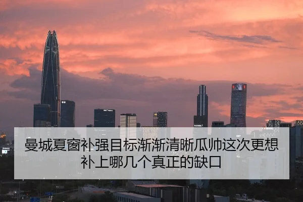 曼城夏窗补强目标渐渐清晰瓜帅这次更想补上哪几个真正的缺口